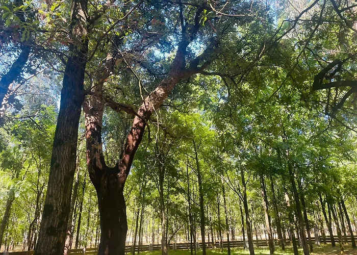 World 홈스테이 *